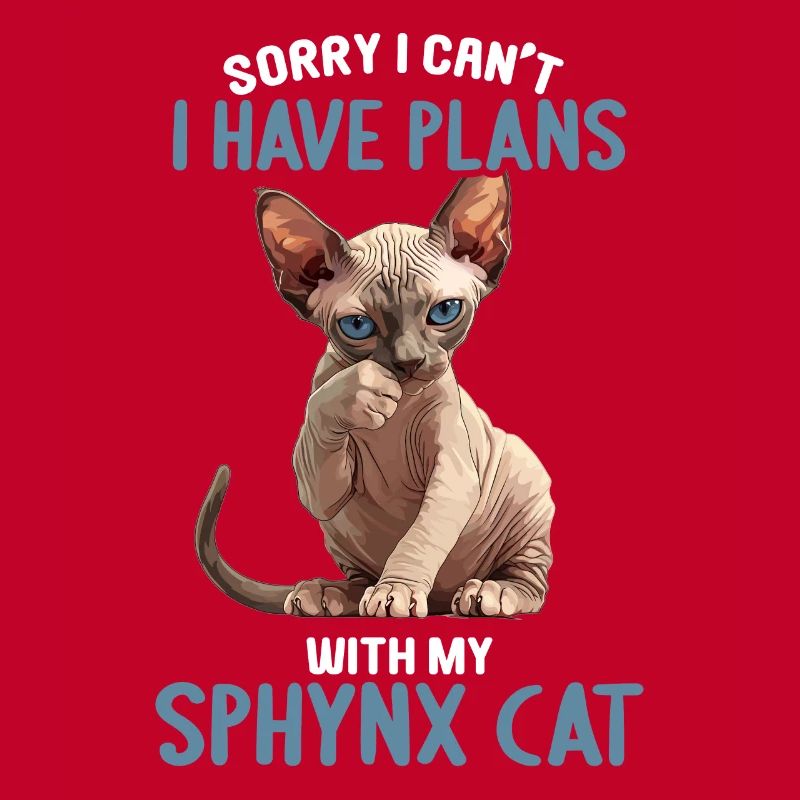 Chaton Sphynx Chat Sphynx
