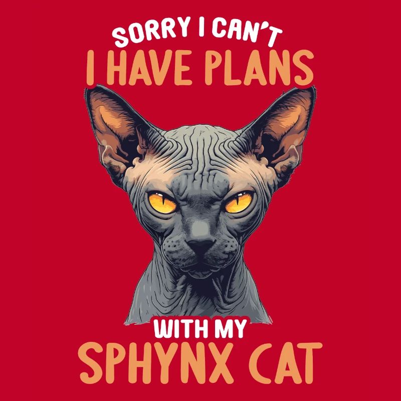 Chaton Sphynx Chat Sphynx
