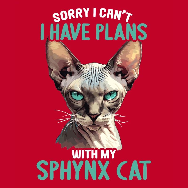 Chaton Sphynx Chat Sphynx
