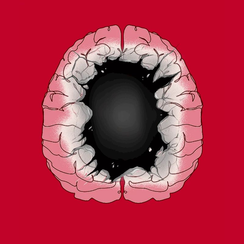 Brain Idiot Idiot Brain Brains Intelligence