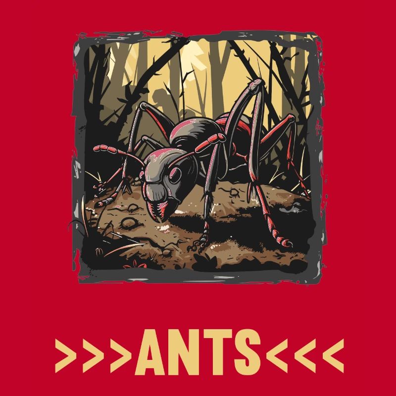 Fourmis fourmis