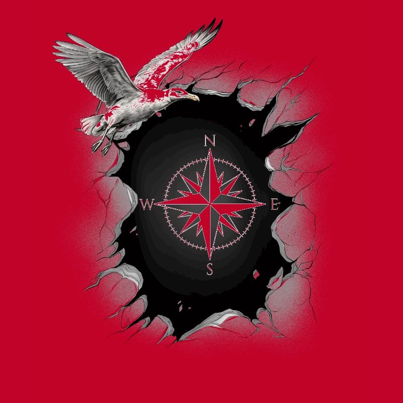 maritime seagull compass seagulls wind rose