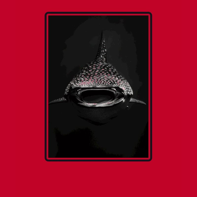 requin-baleine Requin-baleine requin-baleine