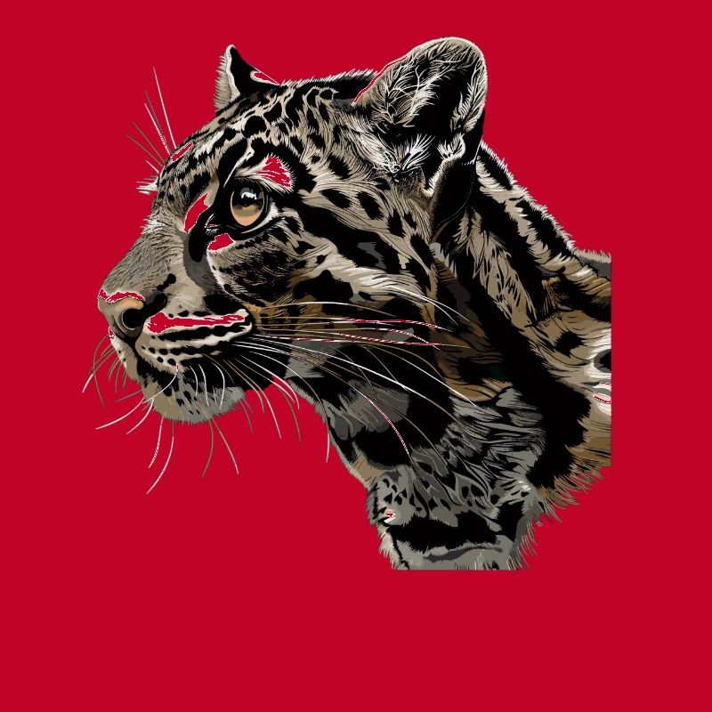 Clouded Leopard Nebelparder