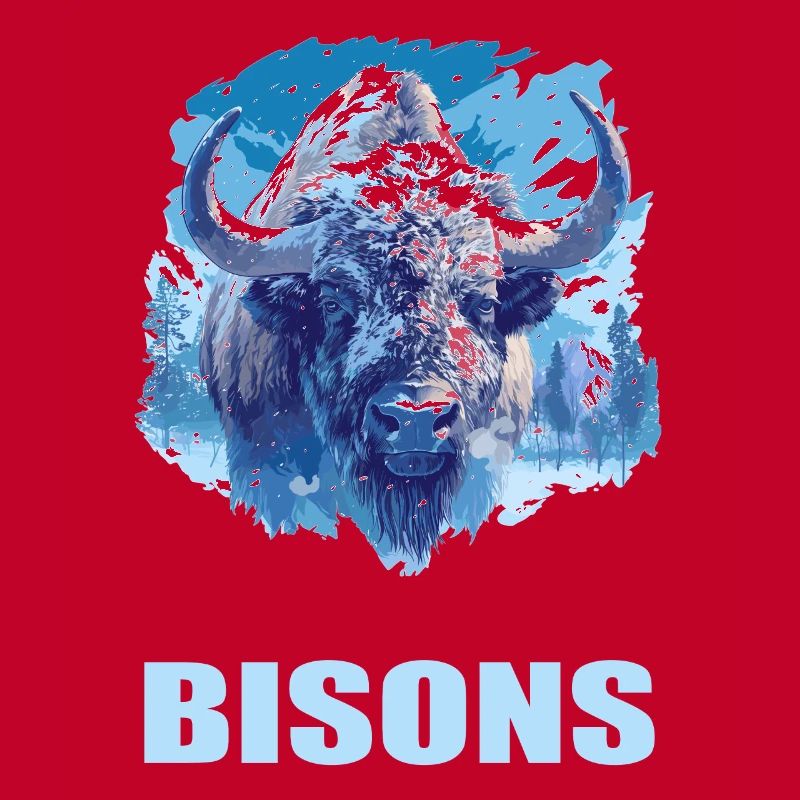 Bisons Bison