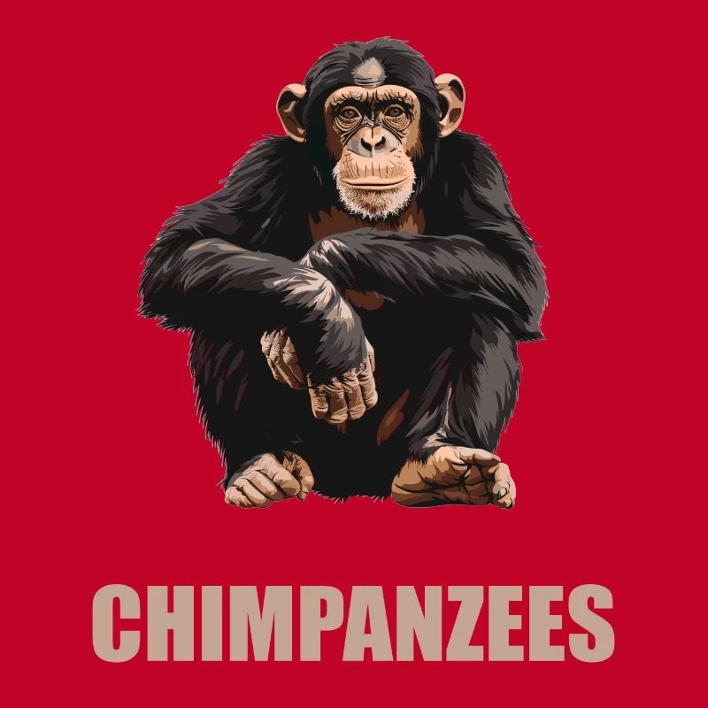 Chimpanzee Schimpansen Schimpanse