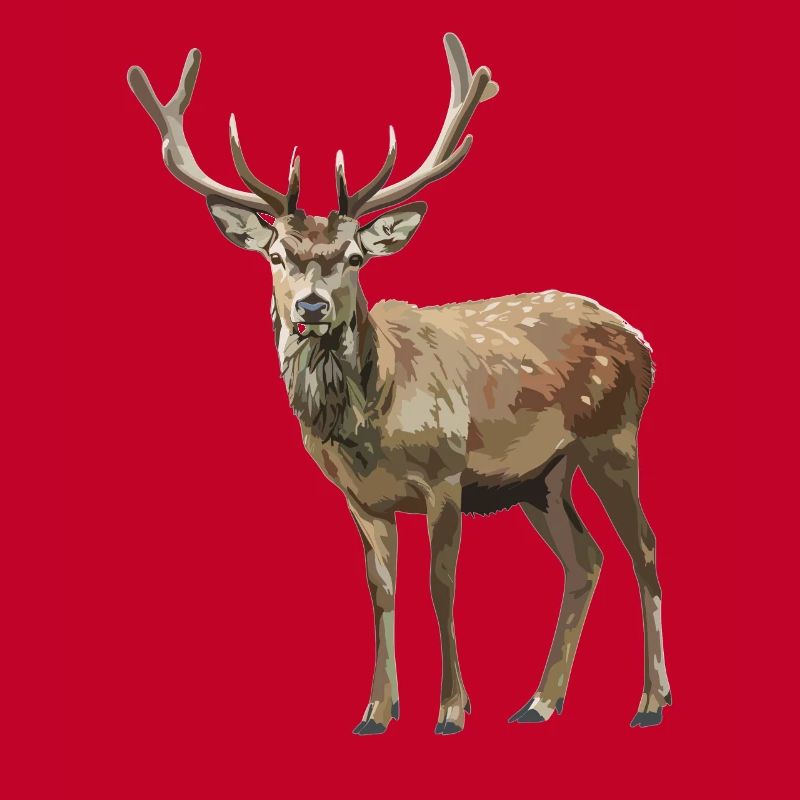 Deer Deer