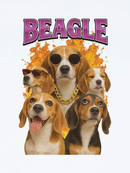 Beagle