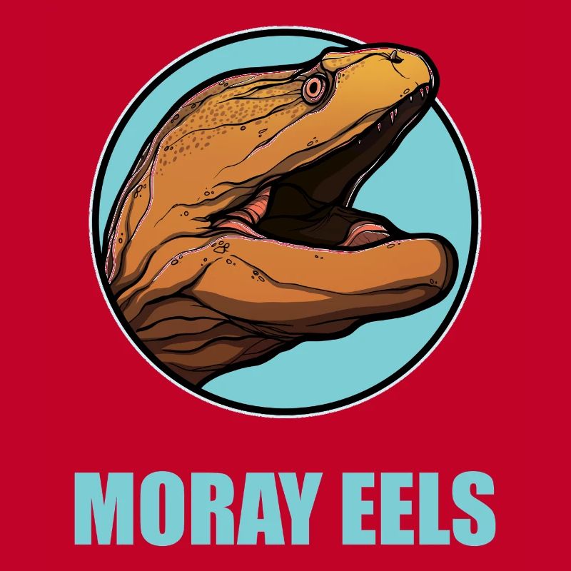 Moray eels Moray eel