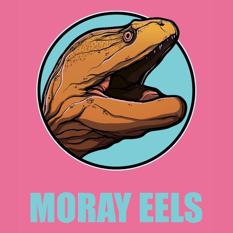 Moray eels Moray eel