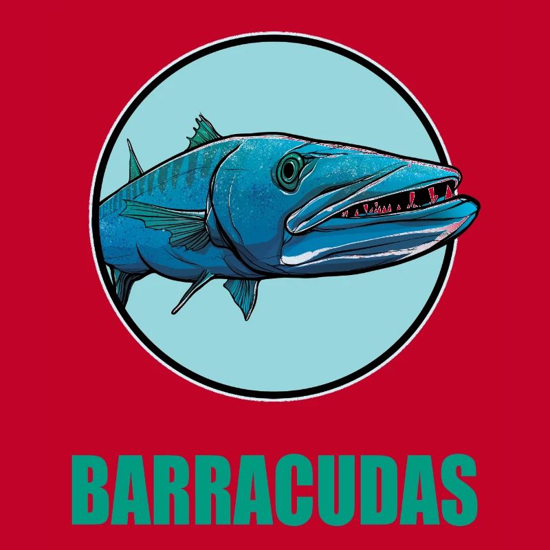 Barracudas Barracuda