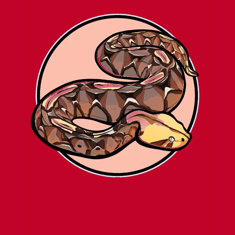 Gabon Vipers Gabon Vipers