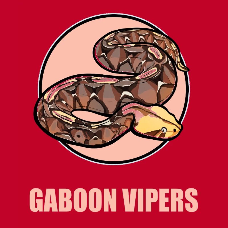 Gabon Vipers Gabon Vipers