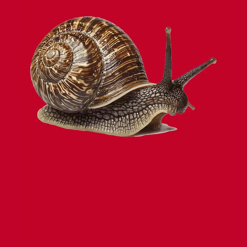 Escargots Escargot