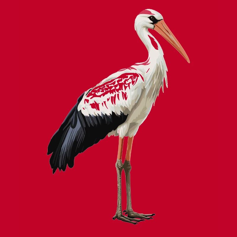 Storks Stork