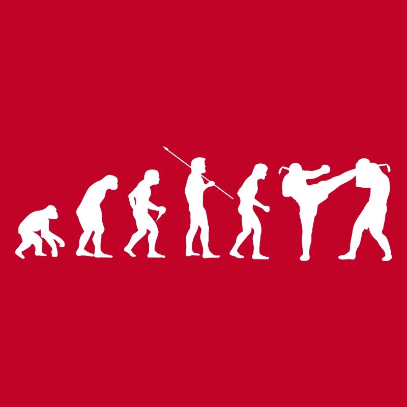 Evolution Kampfsport Karate Judo Kampfkunst Bjj