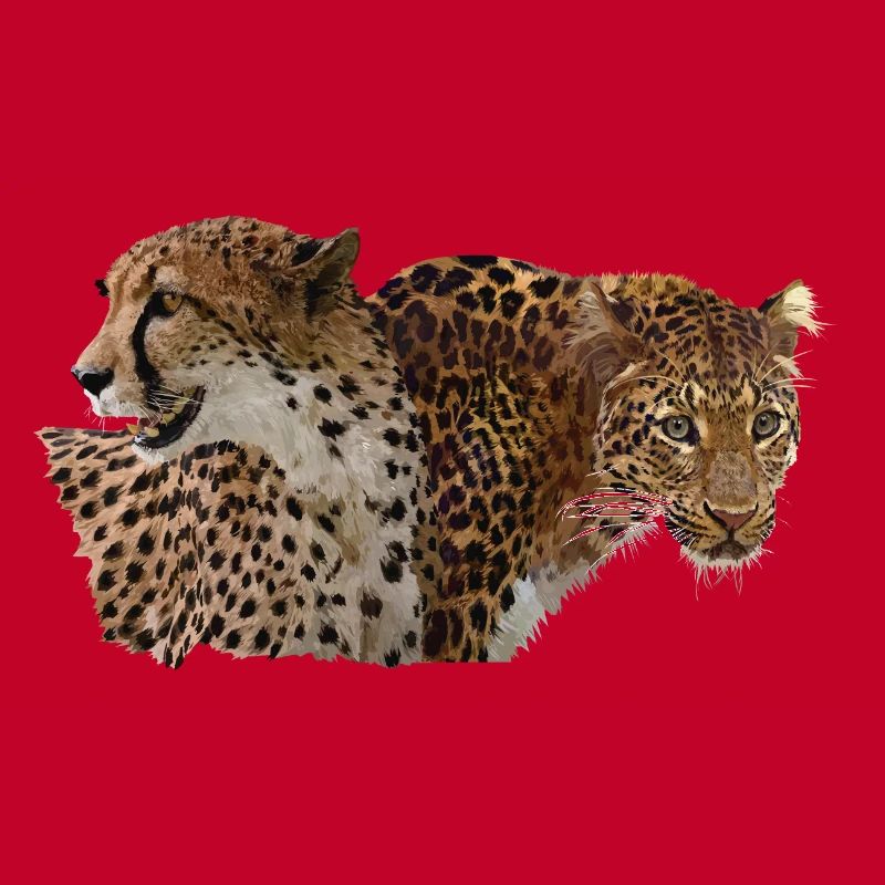Léopard et guépard