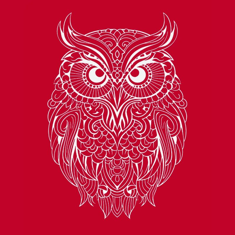 Mythical Magical Boho Owl with Patterns