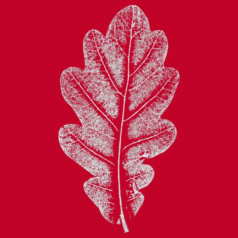 Blatt EICHE / Eichenblatt WEISS