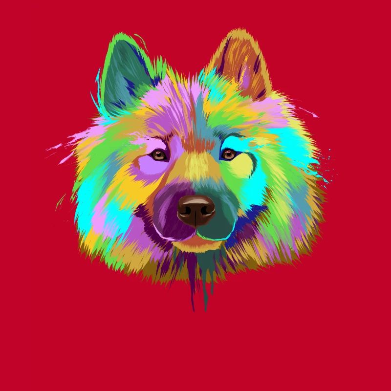 Splash Eurasier Dog