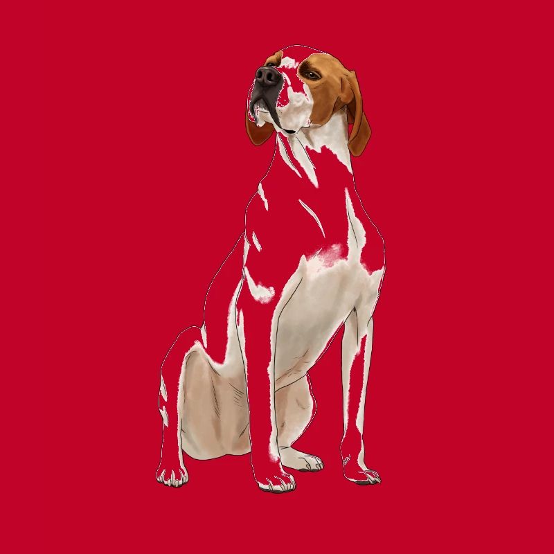 Sitzender English Pointer Hund