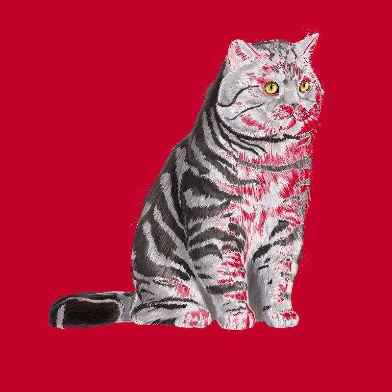 Sitzende Tabby Britisch Kurzhaar Katze