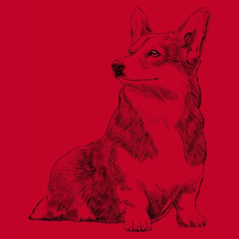 Sitting Welsh Corgi Dog