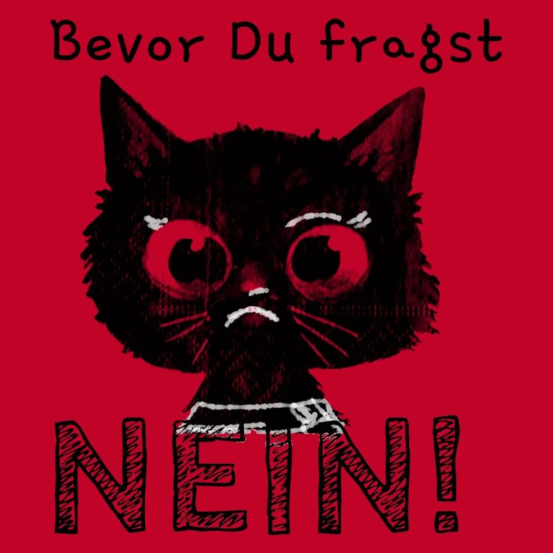 Chat, bande dessinée, chaton, avant de demander