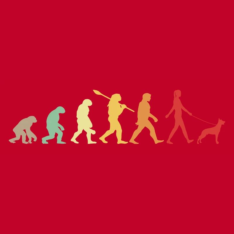 Evolution Funny Belgian Shepherd Dog Malinois