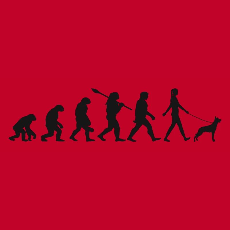 Evolution Lustiger Belgischer Schäferhund Malinois