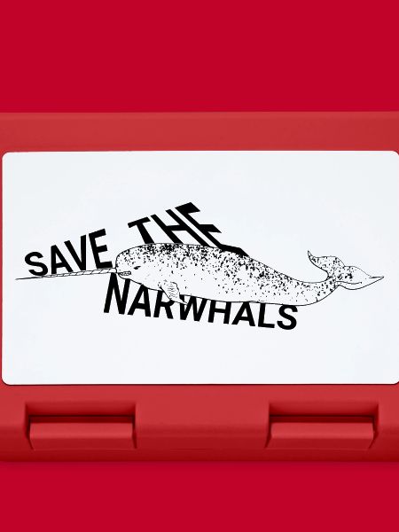 Narwhal (toothed whale)
