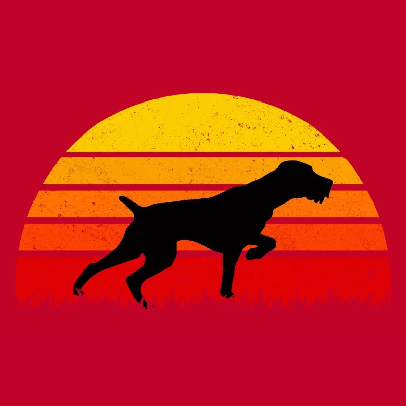 Drahtharr Dog Sunset Dogs