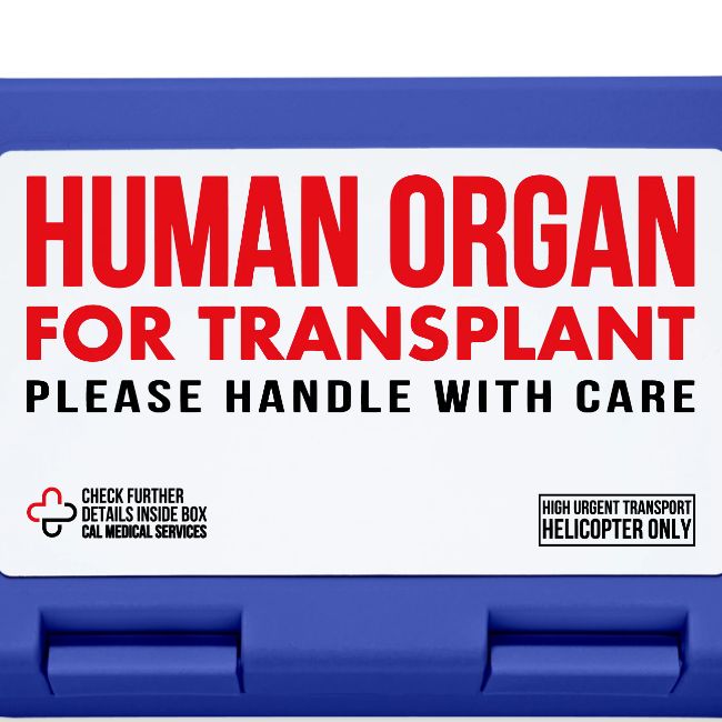 Human Organ - Lunchbox