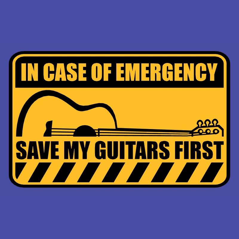 Save My Guitars First