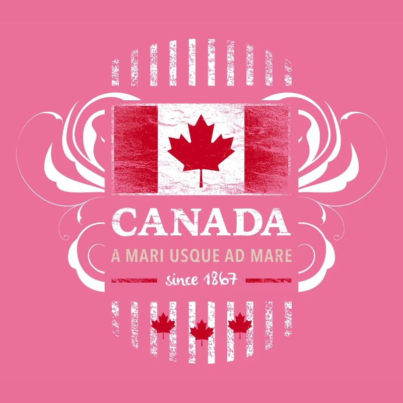 Flag Flag Canada Canada Maple leaf 2