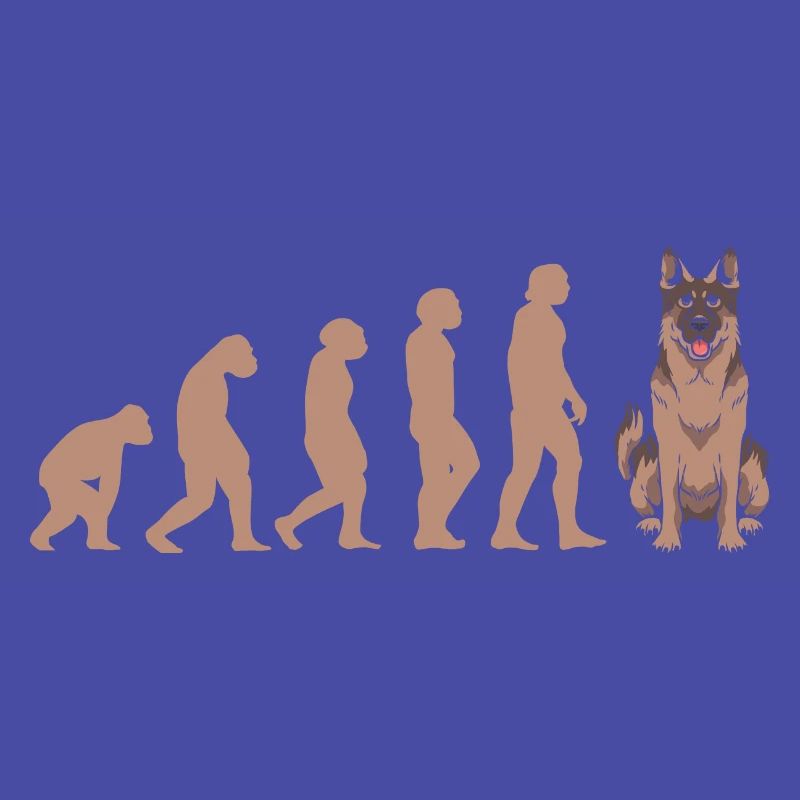 Evolution German Shepherd