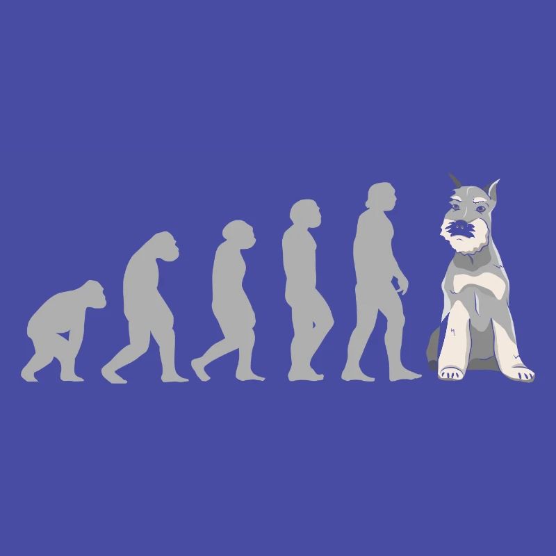 Evolution Schnauzer