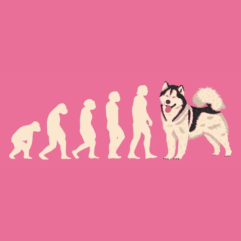 Evolution Alaskan Malamute