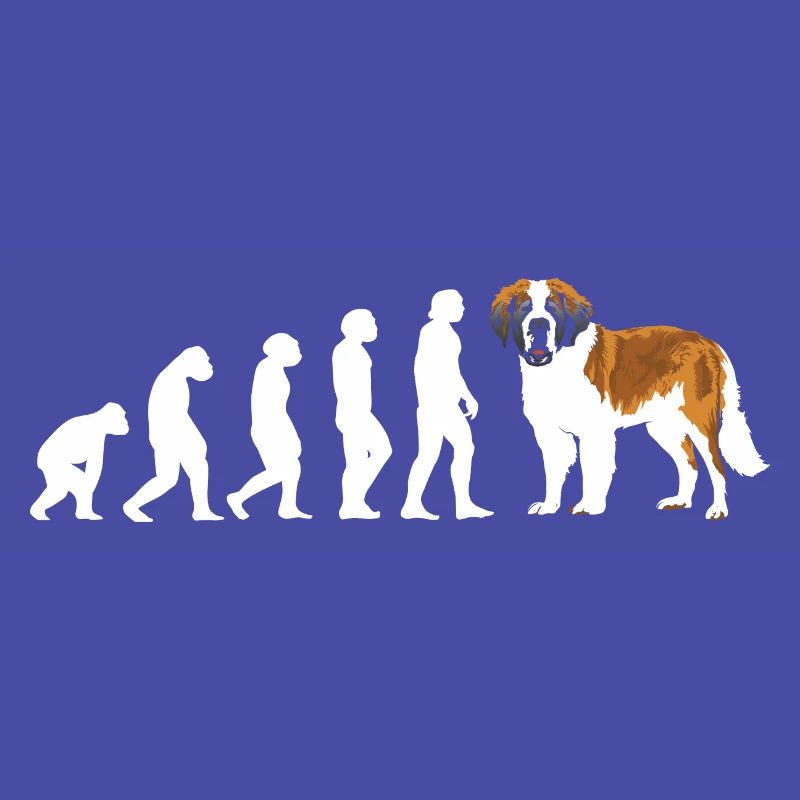 Evolution Saint-Bernard