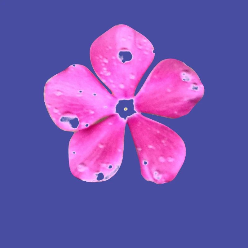 Hippie fleur
