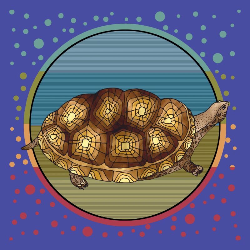 Tortue