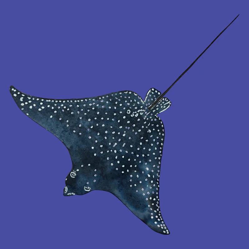 Rays Eagle Rays Stingrays Reef Plongée