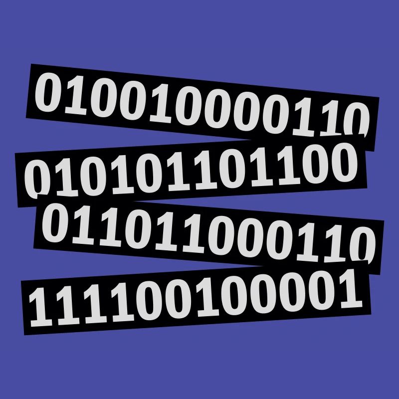 Binary Code Program Language