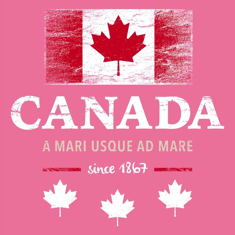 Canada Ottawa Maple Leaf Maple Leaf Canada America