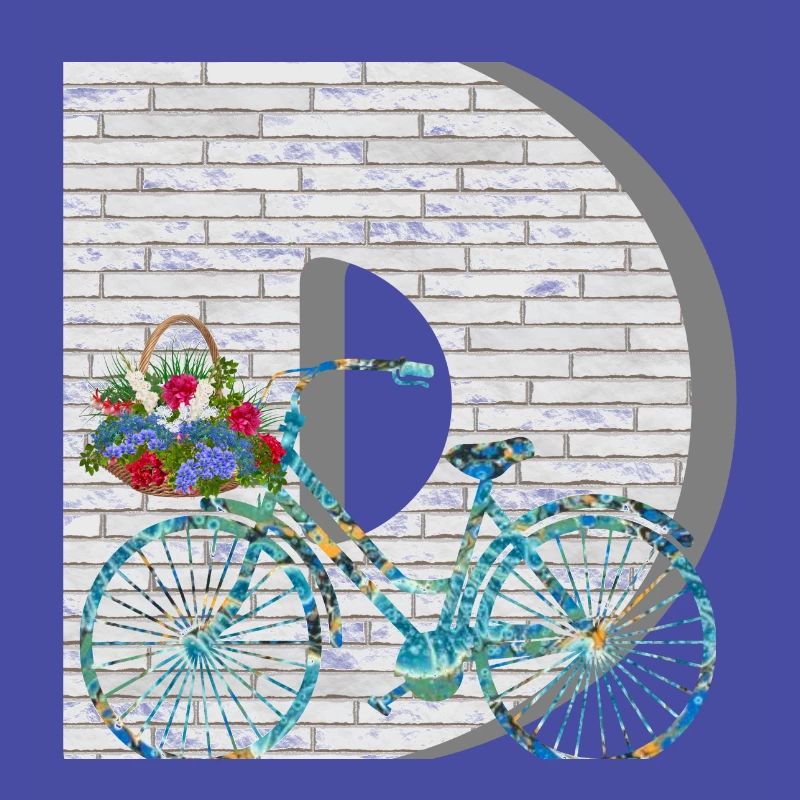 bicycle e 100 d