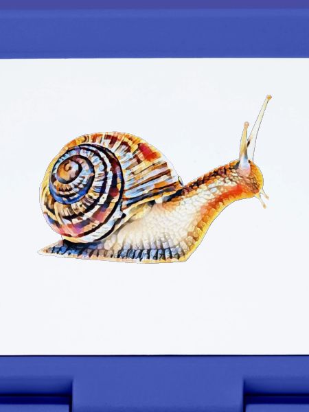 slug