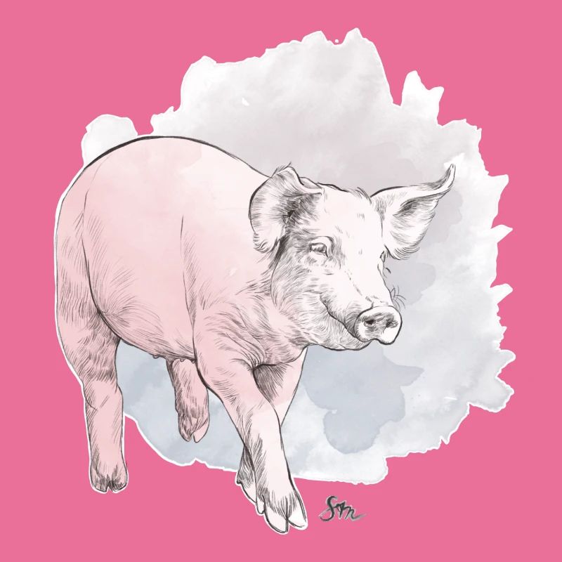 Cochon mignon devant une masse colorée