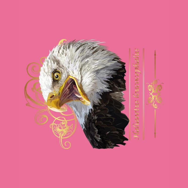 Bald eagle
