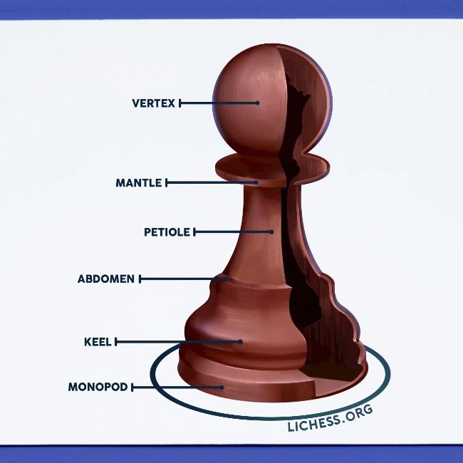 Lichess Pawn