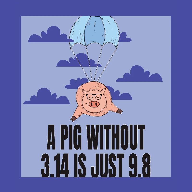 A Pig without 3.14 - Pi Geschenk Idee